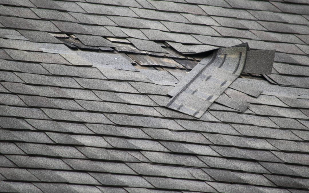 How To Deal With Roof Wind Damage in Bozeman, Montana
